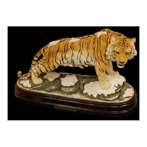 Tygrys syberyjski na śniegu