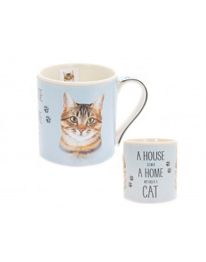 Kubek - Tabby Cat
