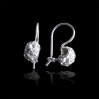 Kolczyki srebrne z cyrkoniami SA 2,5g