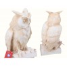 Sowa na książce -alabaster grecki 396-0506