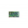 Kpl. 4 magnesów - V. van Gogh (CARMANI) 013-0036