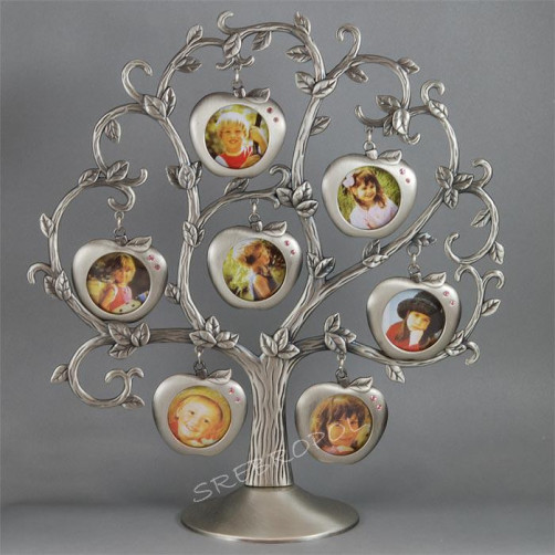 Drzewko genealogiczne jabłuszka SAGRADO