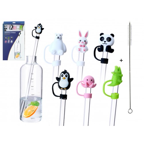 Kpl. 6 szklanych słomek z silikonowymi końcówkami i czyścikiem. 100-0620